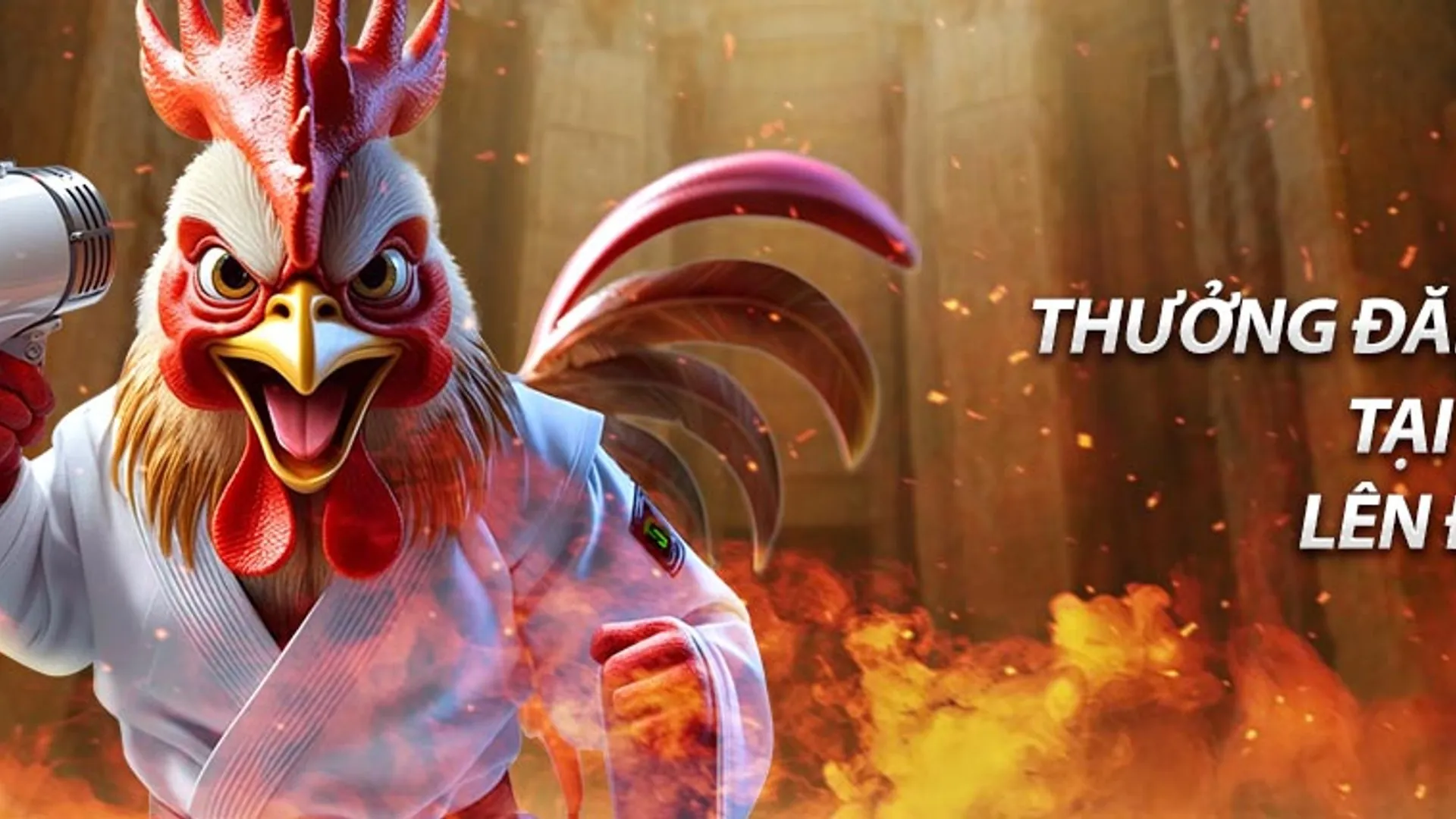 Tiền thưởng chào mừng độc quyền 55win bet